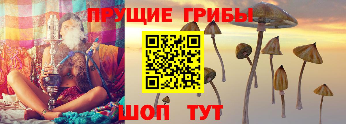 Майский  Галлюциногенные грибы MAGIC MUSHROOMS  Вход с VPN 
